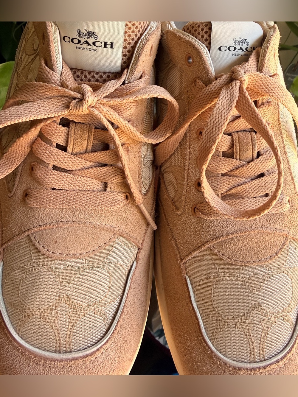 Coach Pink Blush Suede & Signature Logo Sneakers - Picture 5 of 14